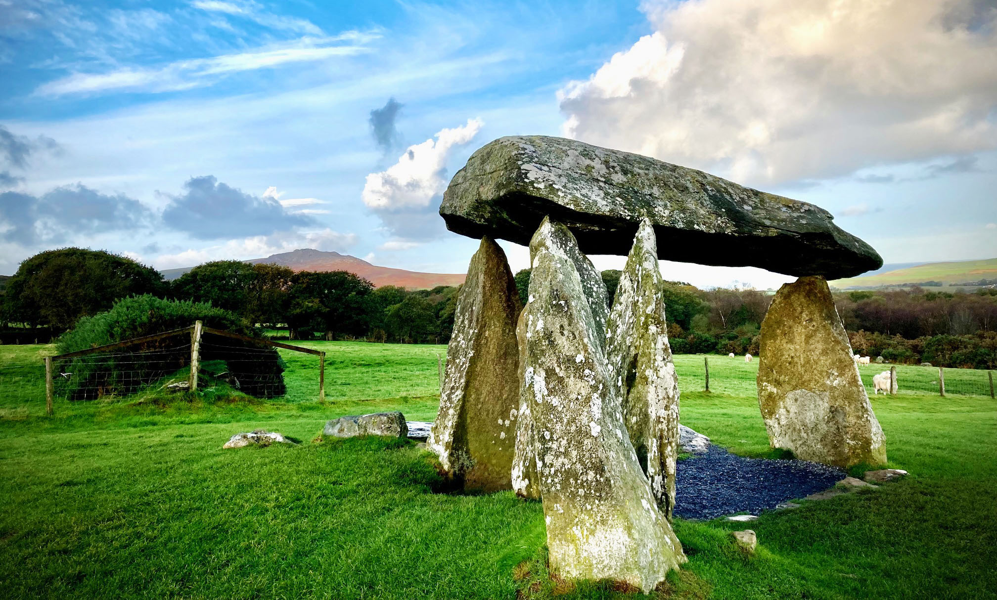 Standing stones on the coastal way