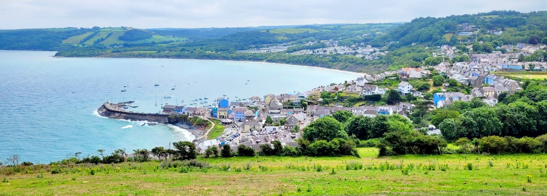 New Quay on the Coastal Way