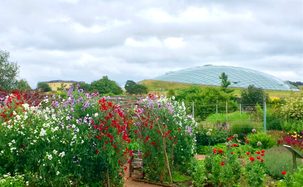 Things to do in Carmarthenshire - National Botanic Garden of Wales