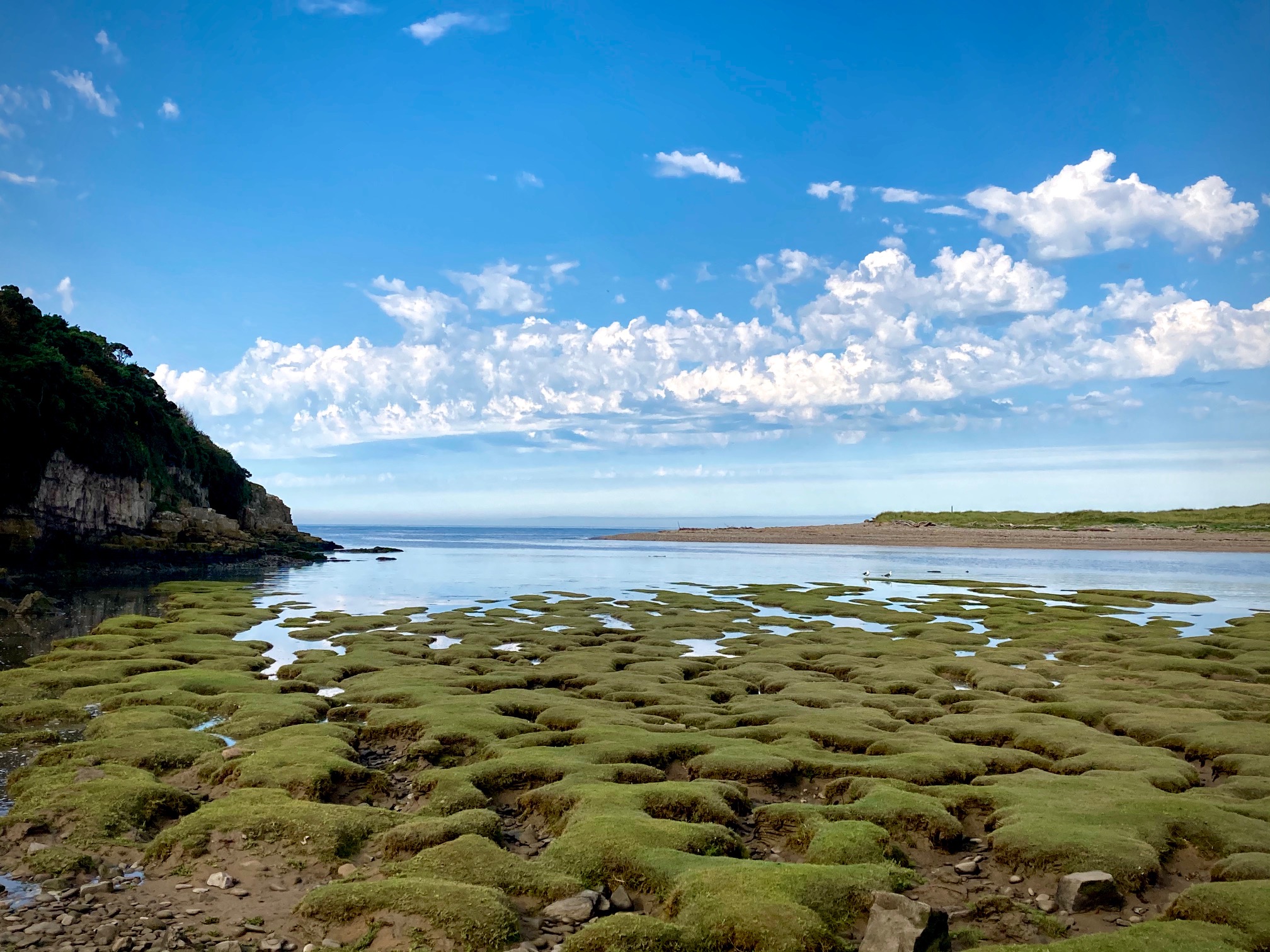 Ogmore Estuary